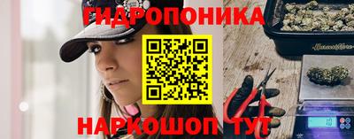 скорость Жуковский