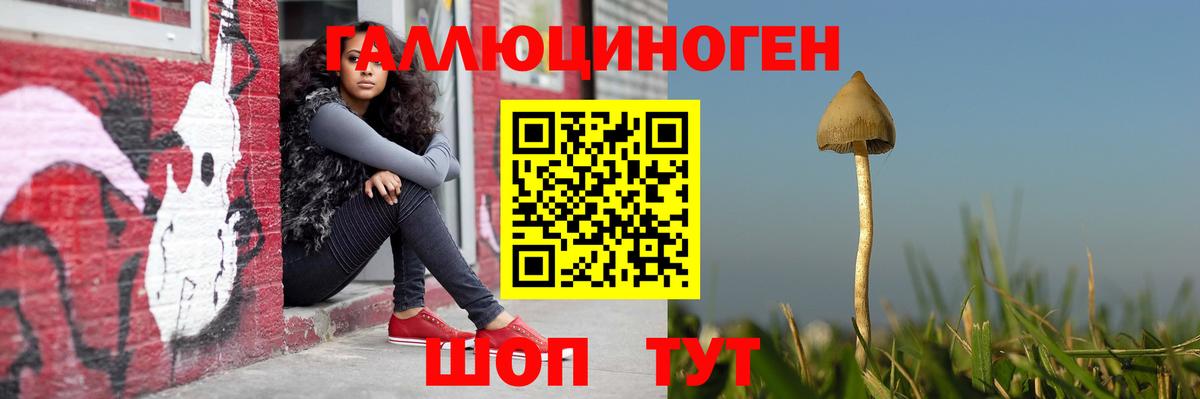 Псилоцибиновые грибы MAGIC MUSHROOMS  Вход с VPN  Магнитогорск  Галлюциногенные грибы мицелий 